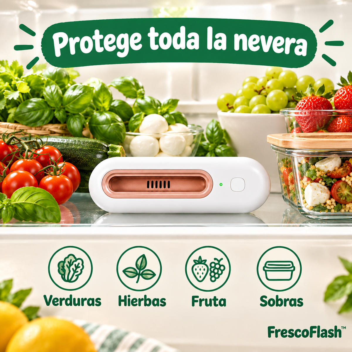frescoflash 03